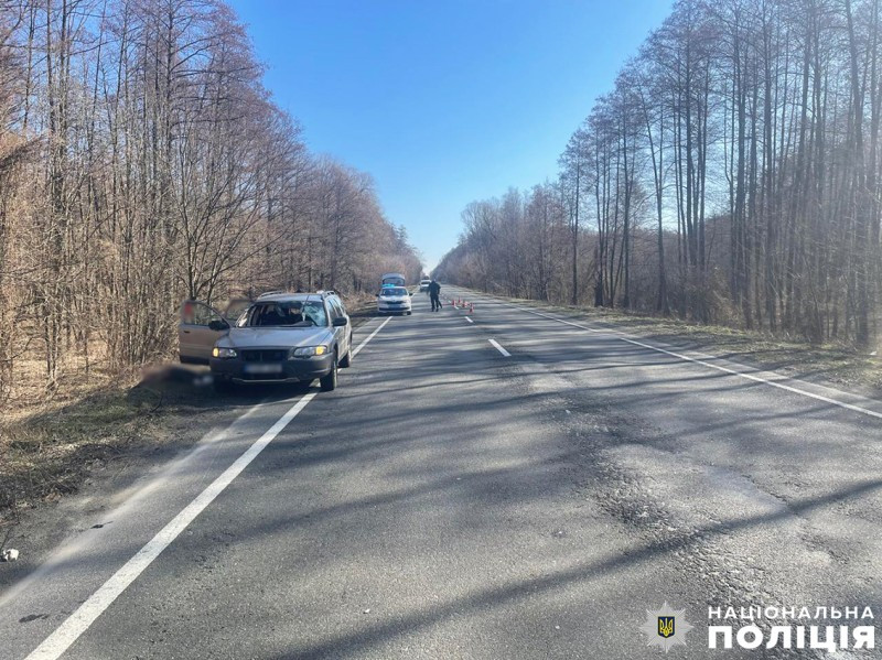 Збили косулю: на Чернігівщині внаслідок ДТП загинула пасажирка легковика, ще двох осіб госпіталізували (Відео, Фото)