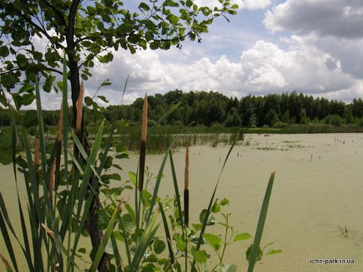 Ічнянському національному природному парку – 21 рік (Фото)