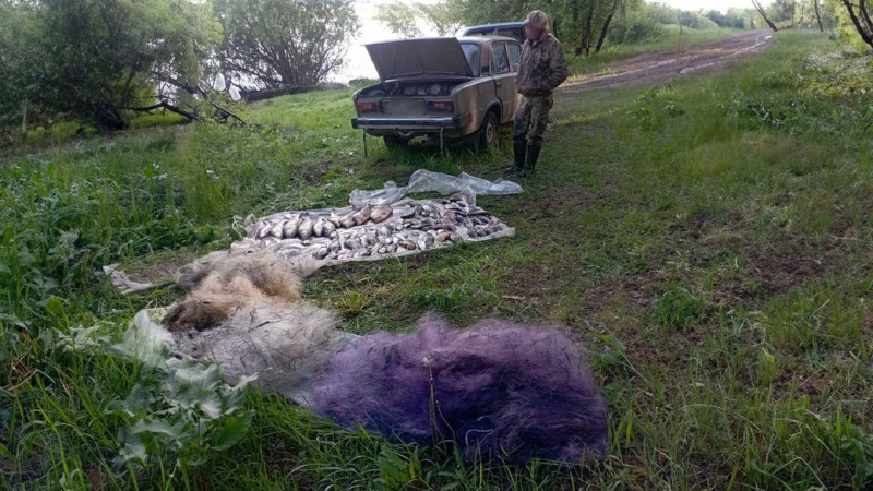 Завдав збитків на понад 176 тис. грн: на Чернігівщині виявили рибалку, який під час нересту незаконно ловив рибу