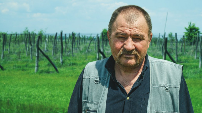 Від 65 до 100 гривень за кілограм: коли почне спадати ціна на молоду картоплю на ринках Чернігова