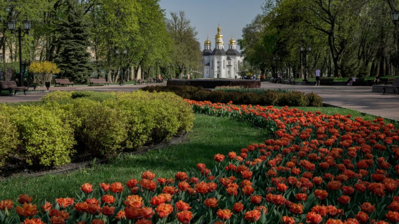На Чернігівщині протягом двох днів очікують заморозки на поверхні ґрунту