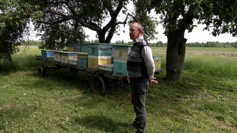 "Надія на гречку, соняшник і дикі трави": пасічник із Семенівщини розповів, чому цьогоріч може не бути весняного меду
