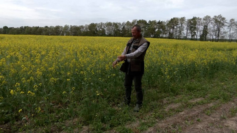 "Надія на гречку, соняшник і дикі трави": пасічник із Семенівщини розповів, чому цьогоріч може не бути весняного меду