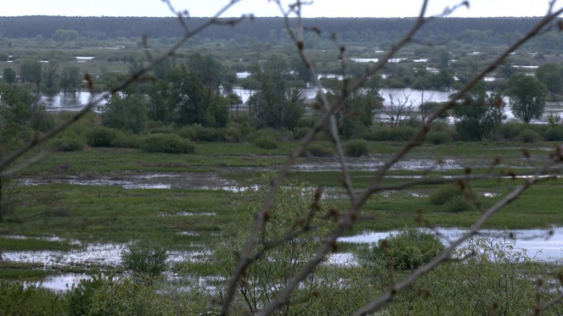 Найменша повінь з 2022 року: якими були весняні водопілля на Чернігівщині з початку повномасштабного вторгнення