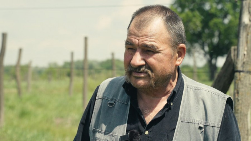 Мріють відновити бізнес і допомагають військовим: фермер розповів, як вирощували виноград поблизу Остра на Чернігівщині