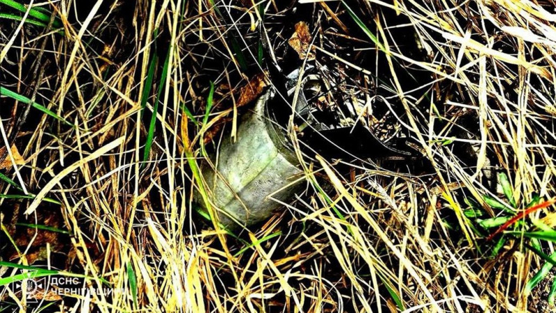 На Чернігівщині сапери ДСНС виявили та знищили 5 боєприпасів від РСЗВ "Ураган"