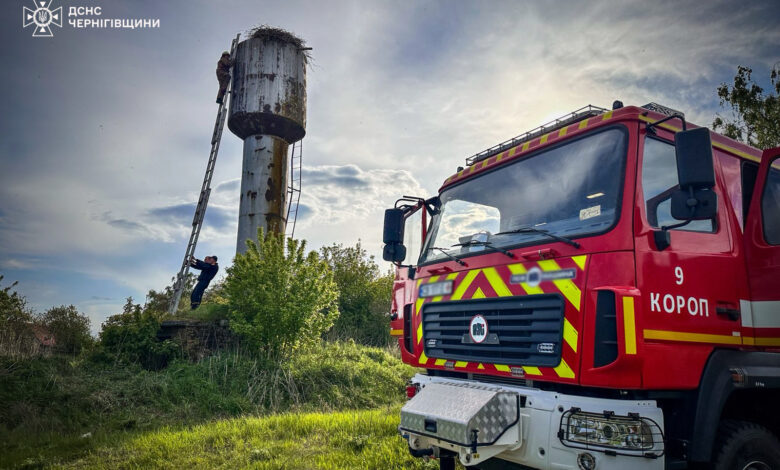 Чернігівські надзвичайники врятували із пастки двох лелек (Фото)