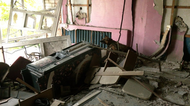 Як проходять тренування службових собак Головного управління Національної поліції в Чернігівській області