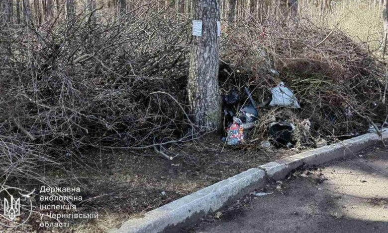 У Чернігові в районі Подусівки виявили стихійне сміттєзвалище посеред лісу