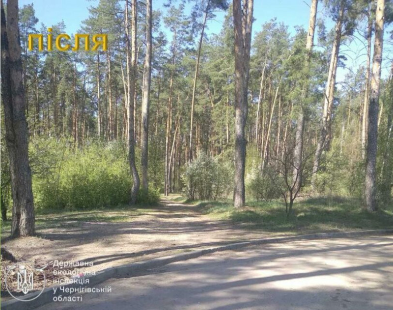 У Чернігові в районі Подусівки виявили стихійне сміттєзвалище посеред лісу