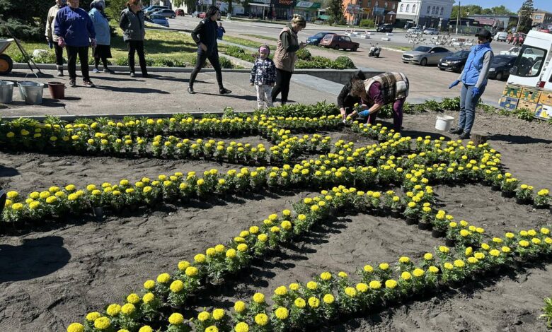 У селищі на Чернігівщині з’явилася оригінальна клумба (Фото)