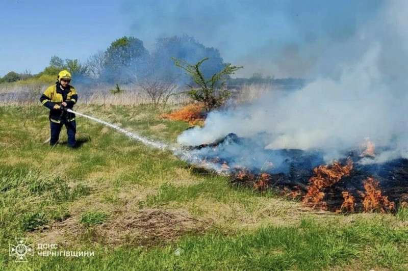 За добу на Чернігівщині вигоріло понад 12 гектарів сухої трави (Фото)
