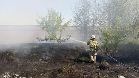 За добу на Чернігівщині вигоріло понад 12 гектарів сухої трави (Фото)
