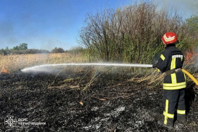 За добу на Чернігівщині вигоріло понад 12 гектарів сухої трави (Фото)