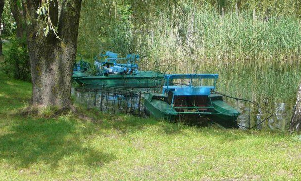 Замість улюбленого осередку розваг і відпочинку – зарослий очеретом ставок і бур’яни: як міська влада у Сновську знищила гідропарк