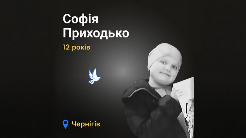 Розстріляли, підірвалися на міні, потрапили під ракетний удар: про загиблих внаслідок агресії РФ дітей з Чернігівщини