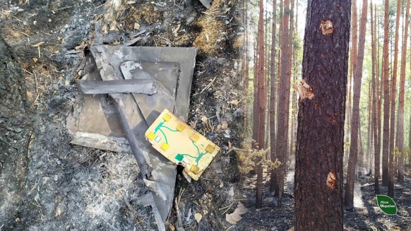 Загорілися понад 2 гектари лісу на прикордонні Чернігівщини внаслідок обстрілів армії РФ