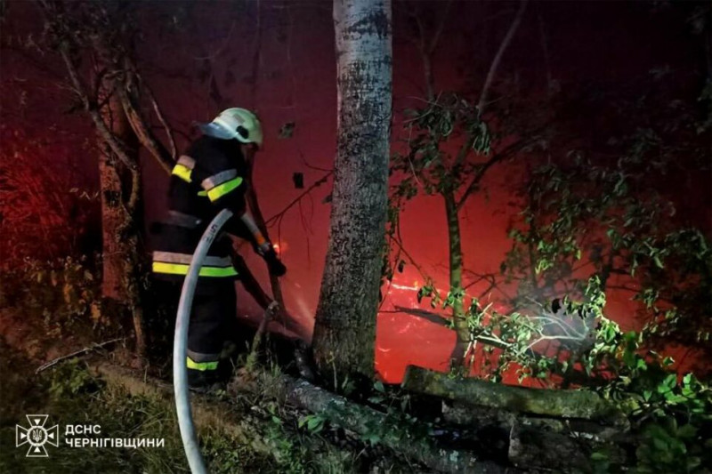Двоє людей потонуло на водоймах Чернігівщини за минулу добу