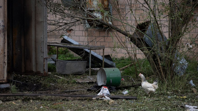 "Курочки, на жаль, загинули": у Чернігові російська ракета влучила у завод "Поліські курчата"