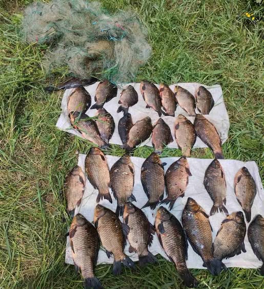 На Чернігівщині на озері впіймали браконьєра, який наловив сітками 16 кг риби