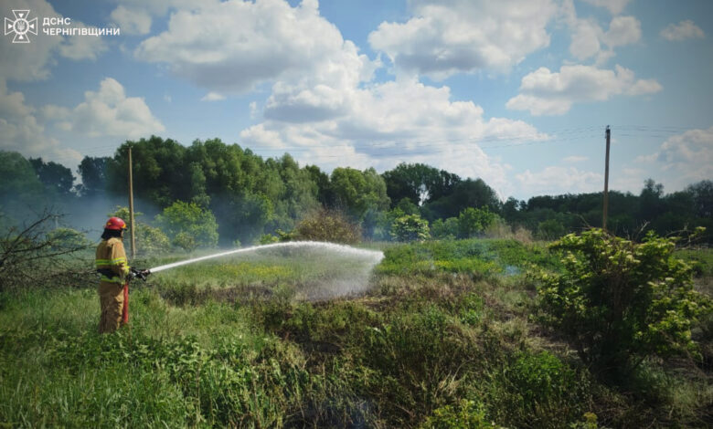 Сім пожеж ліквідували надзвичайники Чернігівщини за добу