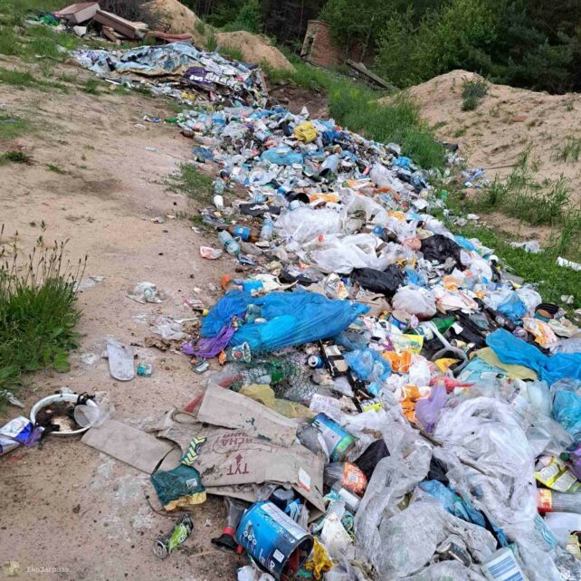 У селі на Чернігівщині виявили стихійне сміттєзвалище