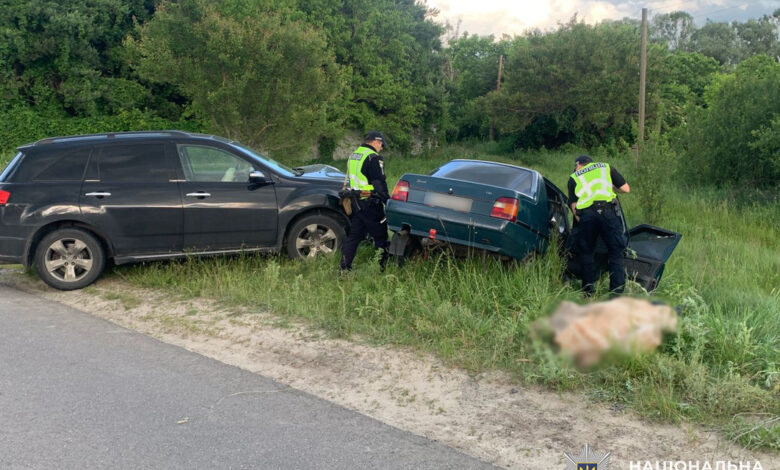 Виїхав на зустрічну смугу та врізався в авто: на Чернігівщині розслідують обставини смертельної ДТП