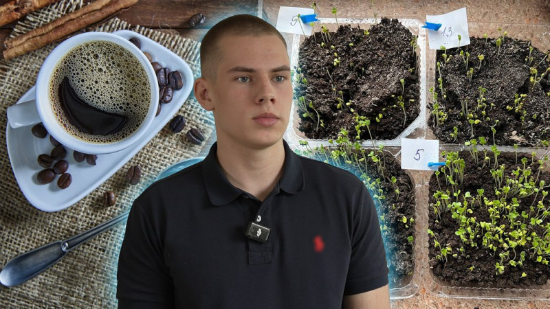 Лисички та білі продають, сироїжки для себе, а підберезники — для родичів: як збирають гриби на півночі Чернігівщини