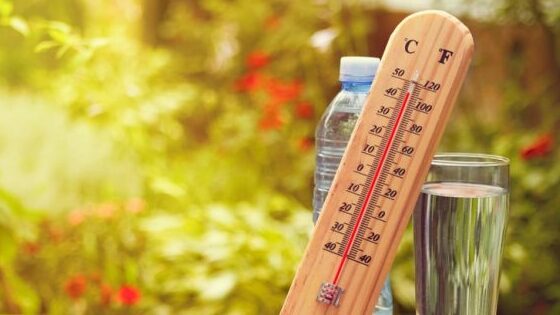 Чи тривалою буде спека: синоптики склали прогноз