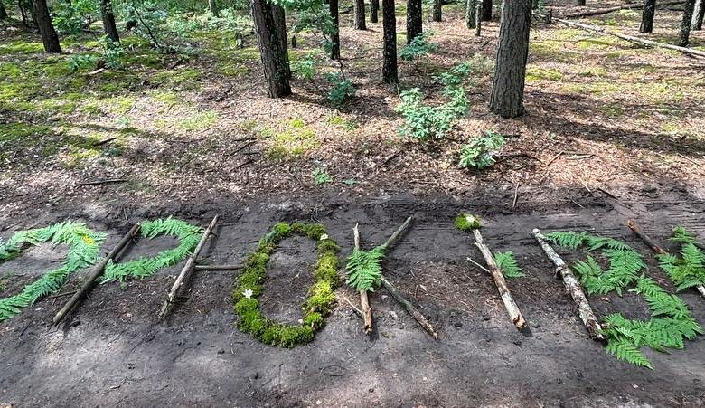 «KAYK-5.0»:на Чернігівщині для дітей влаштували табір на природі (Фото)