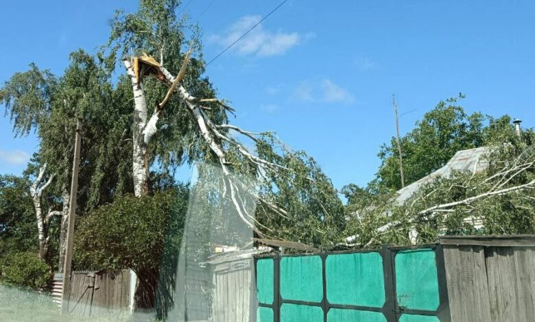 Обірвані дроти, повалені дерева й електроопори: негода нашкодила в приблизно 400 населених пунктах Чернігівщини (Фото)