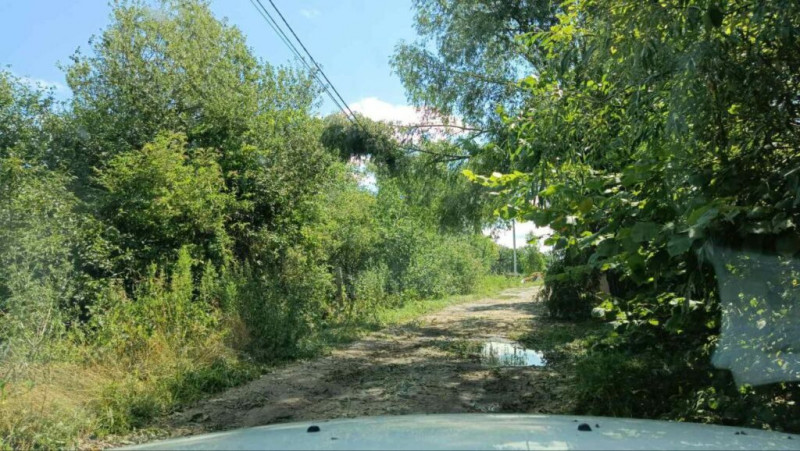 Обірвані дроти, повалені дерева й електроопори: негода нашкодила в приблизно 400 населених пунктах Чернігівщини (Фото)