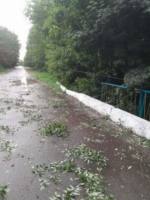 Обірвані дроти, повалені дерева й електроопори: негода нашкодила в приблизно 400 населених пунктах Чернігівщини (Фото)