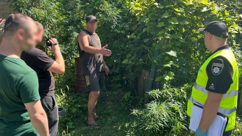 На Чернігівщині оголосили підозру чоловіку, у якого виявили близько 70 кущів коноплі й пів кілограма висушеного канабісу