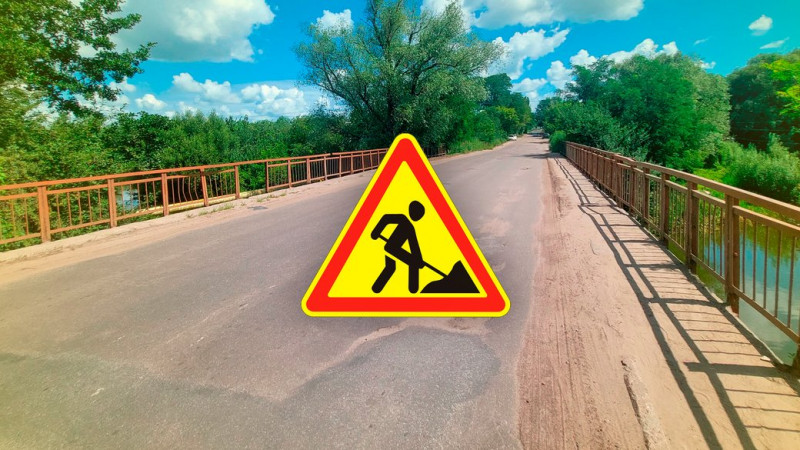 "Тут буде просто пательня": у Чернігові на вулиці Єськова спиляють понад 100 дерев через ремонт дороги