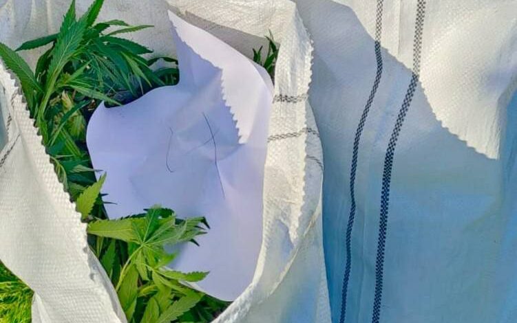 Корюківські поліцейські вилучили у чоловіка набої та наркотичні засоби
