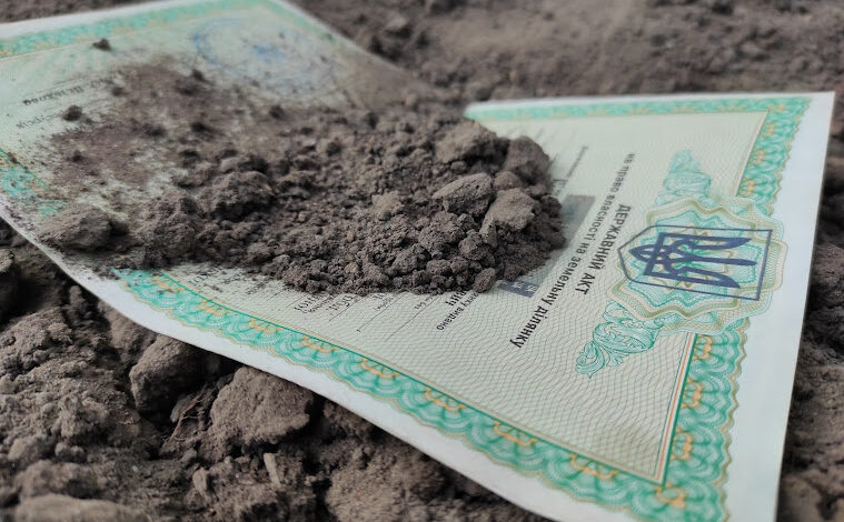 На Чернігівщині селищна рада безпідставно змінила цільове призначення ділянки лісу вартістю понад 2 млн грн