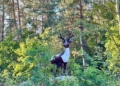 На виїзді до Остра встановили скульптуру оленя (Фото) На виїзді до Остра встановили скульптуру оленя (Фото)