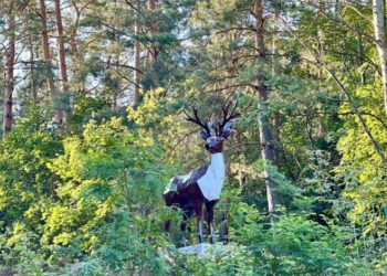На виїзді до Остра встановили скульптуру оленя (Фото) На виїзді до Остра встановили скульптуру оленя (Фото)