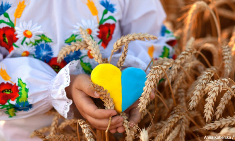 У Ніжині скасували усі заходи до Дня Прапора та Дня Незалежності