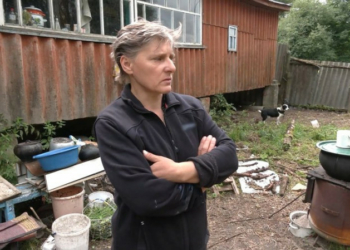 "Одну кішку вбило, іншій осколок влучив у лапу": родина з Грем’яча на Чернігівщині вивезла 12 тварин із-під обстрілів «Одну кішку вбило, іншій осколок влучив у лапу»: родина з Грем’яча на Чернігівщині вивезла 12 тварин із-під обстрілів