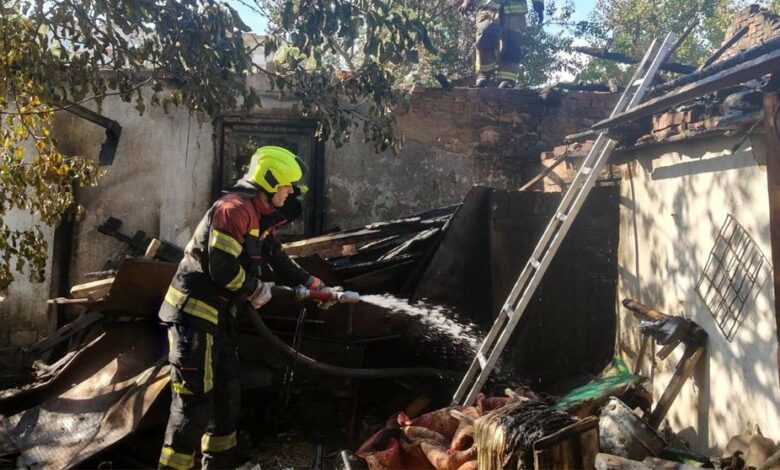 Чернігівські надзвичайники врятували шістьох песиків