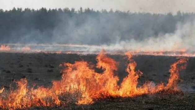 Іще одне торфовище горить на Чернігівщині