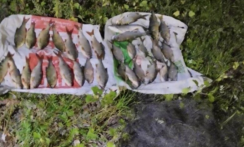 На Чернігівщині викрили браконьєра, який завдав збитків рибному господарству на понад 53 тисячі гривень