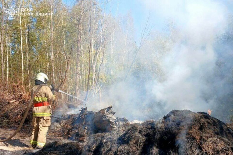 На Чернігівщині внаслідок ворожих обстрілів виникло сім пожеж (Фото)