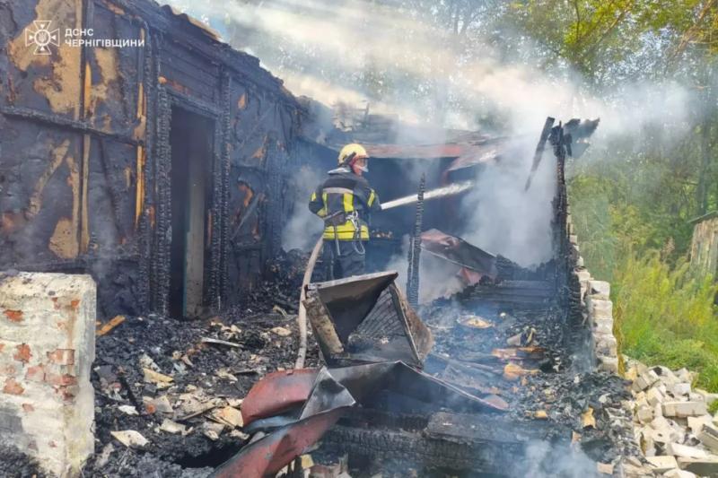 На Чернігівщині вогнеборці врятували з вогняної пастки трьох цуценят (Фото)