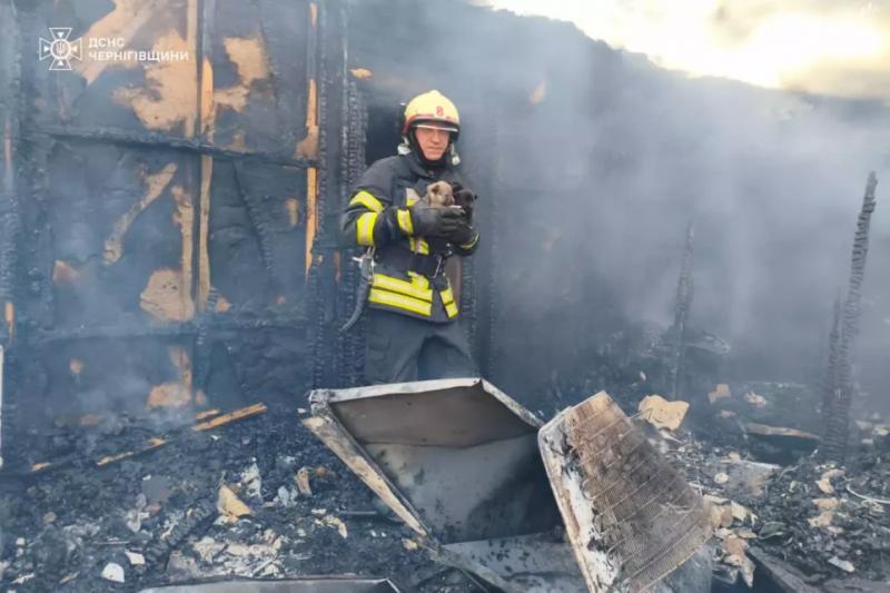 На Чернігівщині вогнеборці врятували з вогняної пастки трьох цуценят (Фото)