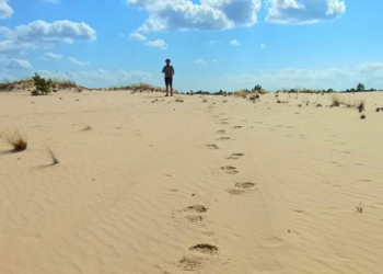 На Чернігівщині є своя мініпустеля (Фото) На Чернігівщині є своя мініпустеля (Фото)