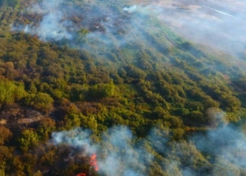 На Чернігівщині загорілися два гектари торф’яників На Чернігівщині загорілися два гектари торф’яників