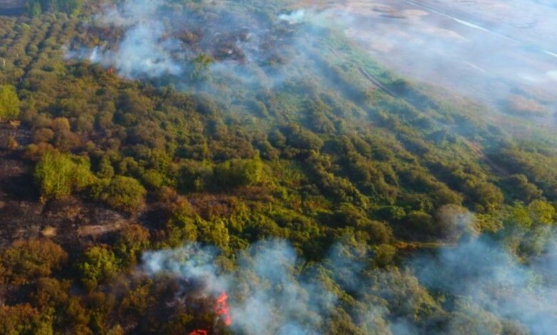На Чернігівщині загорілися два гектари торф’яників
